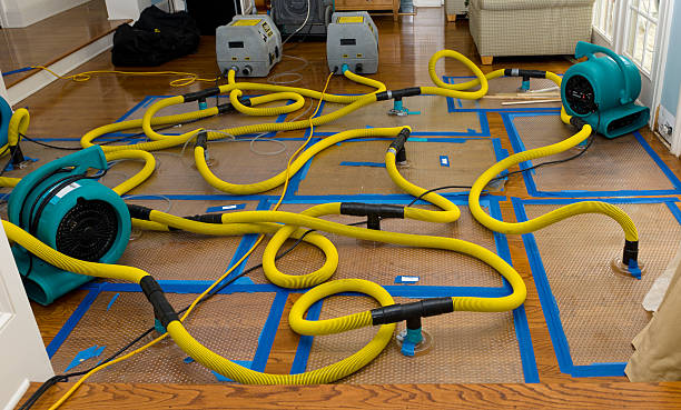 Professional Structural Drying And Dehumidification technician working in Shamrock, OK