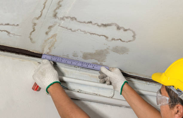 Affordable Water Damage Repair solutions in Shamrock, OK